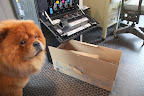 Not to worry - The old cartridge and this cardboard box will be recycled.