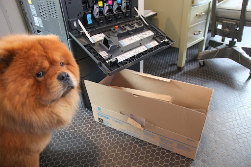 Not to worry - The old cartridge and this cardboard box will be recycled.