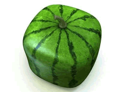 [square-watermelon%255B2%255D.gif]
