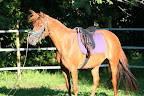 Isadora juni 2010