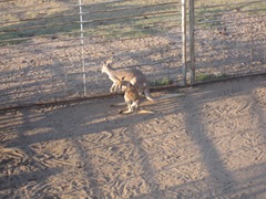 IMG_8641 IMG_8641
