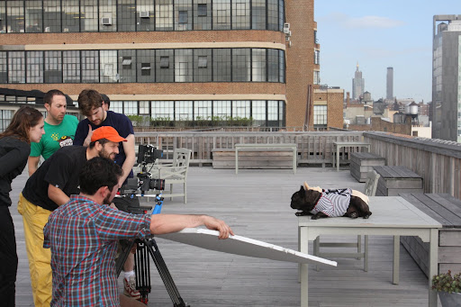 On day two of shooting, we were taken up to the rooftop of Starrett.  Everybody looks so serious.