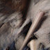 R0027335.JPG
