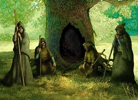 druidas druidas