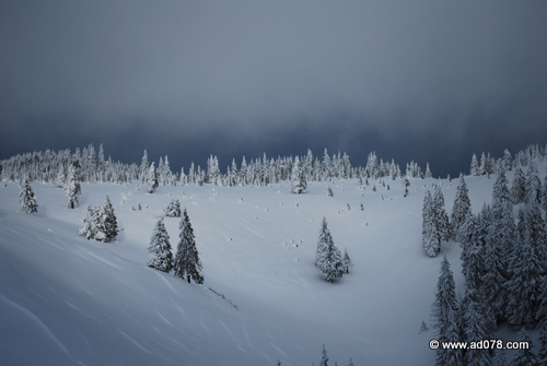 DSC_2154.jpg