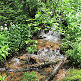 IMG_1110.JPG