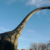 IMG_20120122_165427.jpg