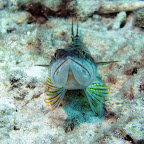 IMG_8956.JPG