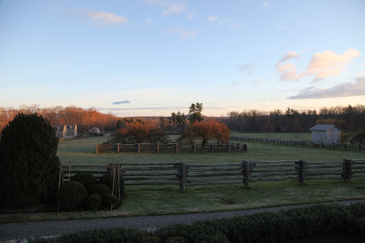 What a stunning morning Francesca!  There seems to be a big buzz of activity down by the stable.  Let's go check it out.
