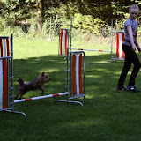 IMG_5130.JPG