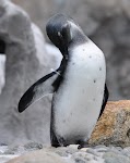 DSC_0023_new.jpg