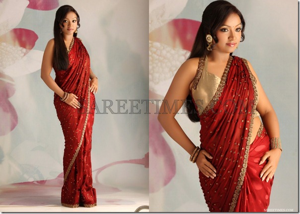 Vaishali_Maroon_Embroidery_Saree