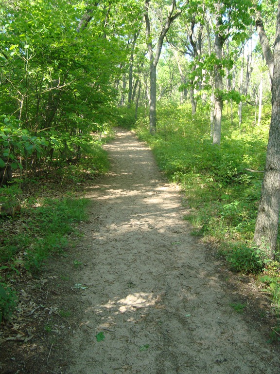 [DSC006974.jpg]
