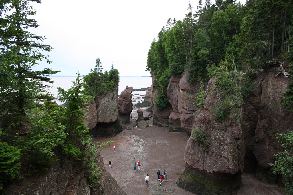 [IMG_6901%255B3%255D.jpg]