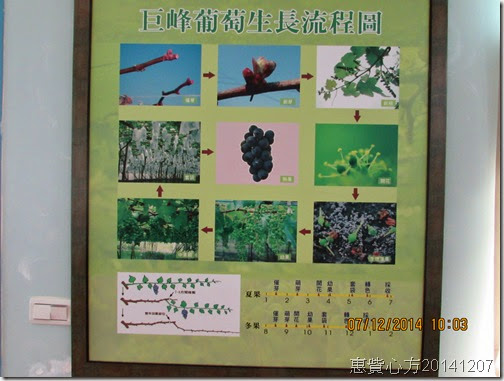 IMG_0126 IMG_0126