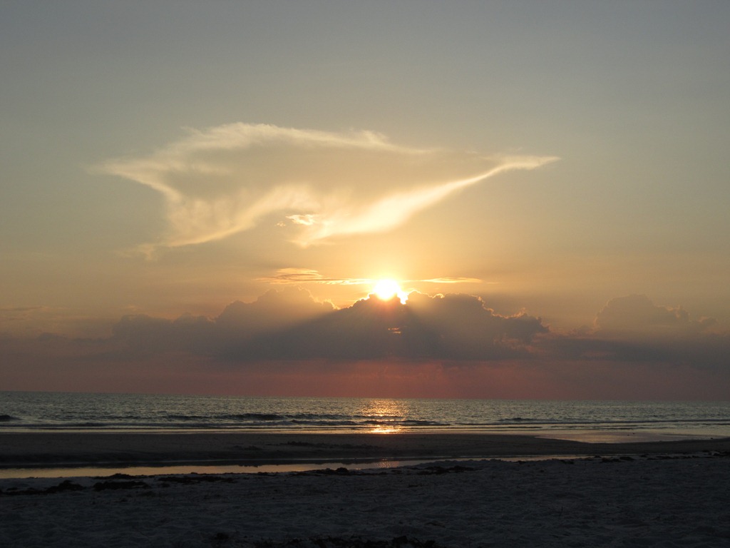 [IMG_1534%255B3%255D.jpg]