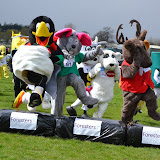 Mascot Gold Cup 2013 by Eileen
