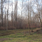 Tramway through the trees - Mogila.JPG