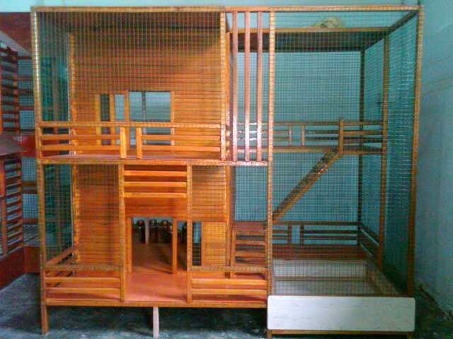 kandang kucing unik tipe scf3 kandang kucing unik tipe scf3