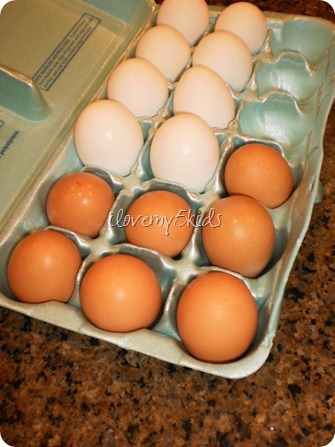 Chicken Eggs vs Store Bought