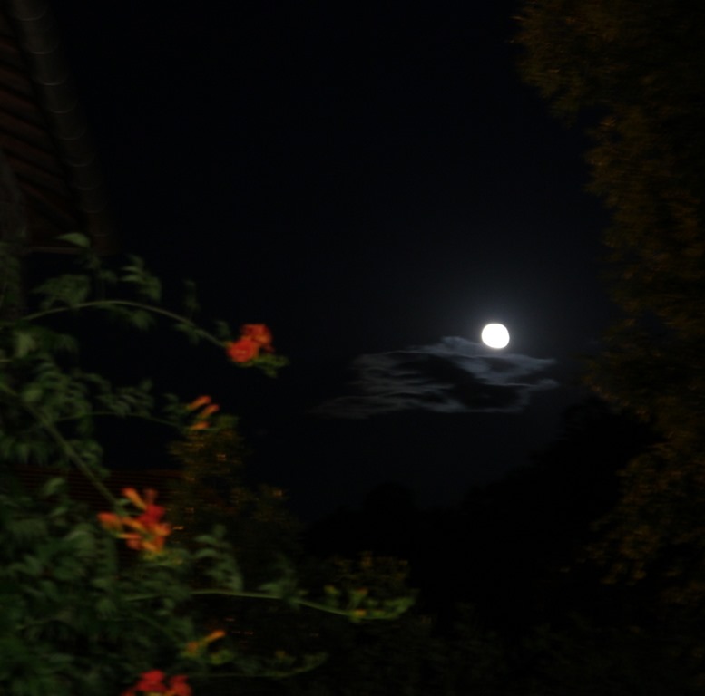 [IMG_69404.jpg]