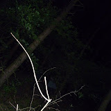 P1050584.JPG