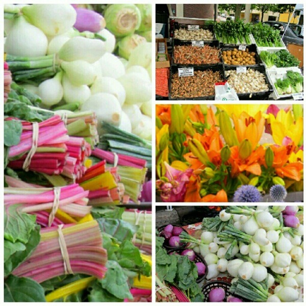 [farmers-market5.jpg]