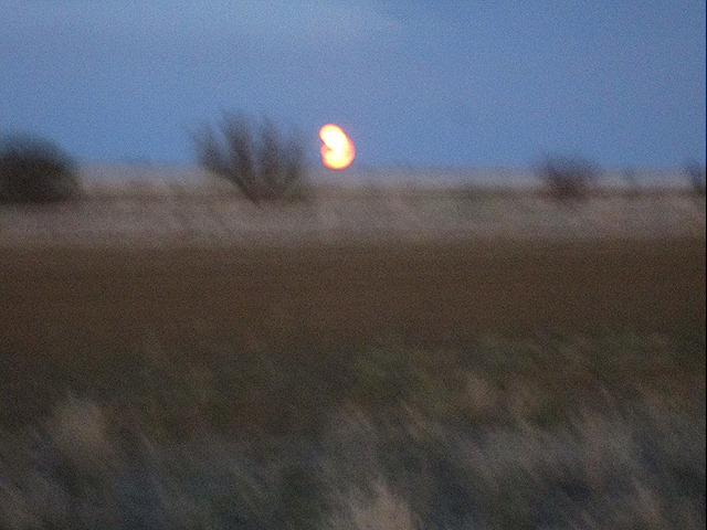 [IMG_1486%255B5%255D.jpg]
