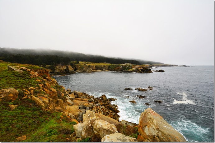 Gerstle Cove View 1