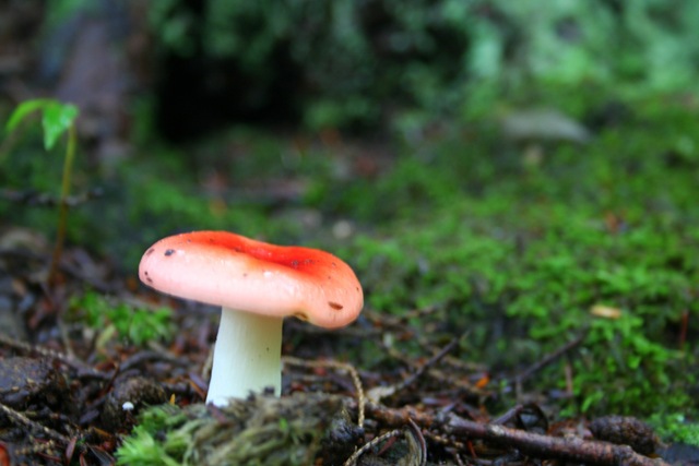 [IMG_8306%255B5%255D.jpg]