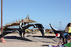 sh120101_062_resize.JPG