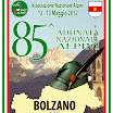alpini.jpg
