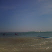 PICT0004.JPG