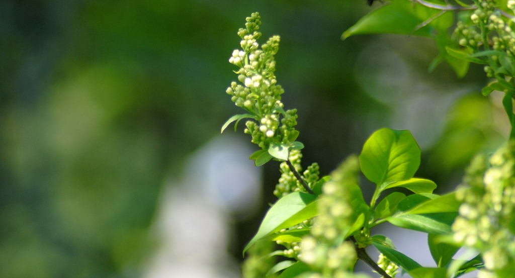 [21%2520May%25202%255B3%255D.jpg]