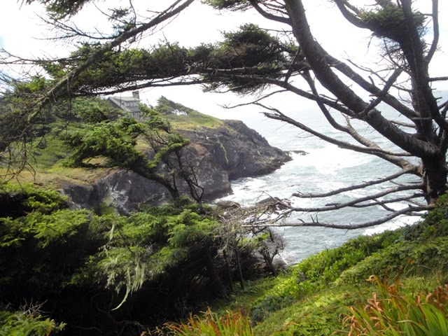 [OregonCoast025.jpg]