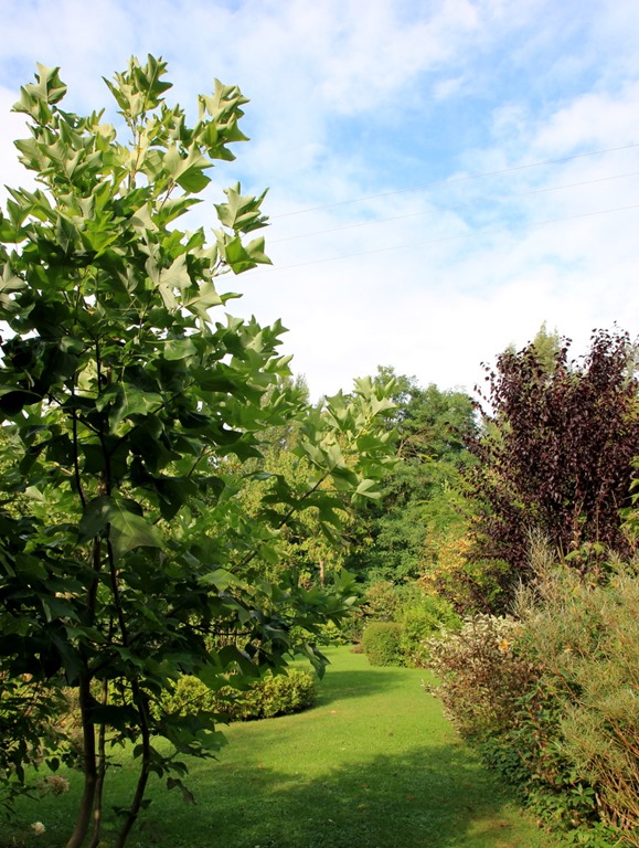 [IMG_2147%255B4%255D.jpg]