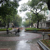 DSC_0698.jpg
