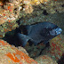P5053339
