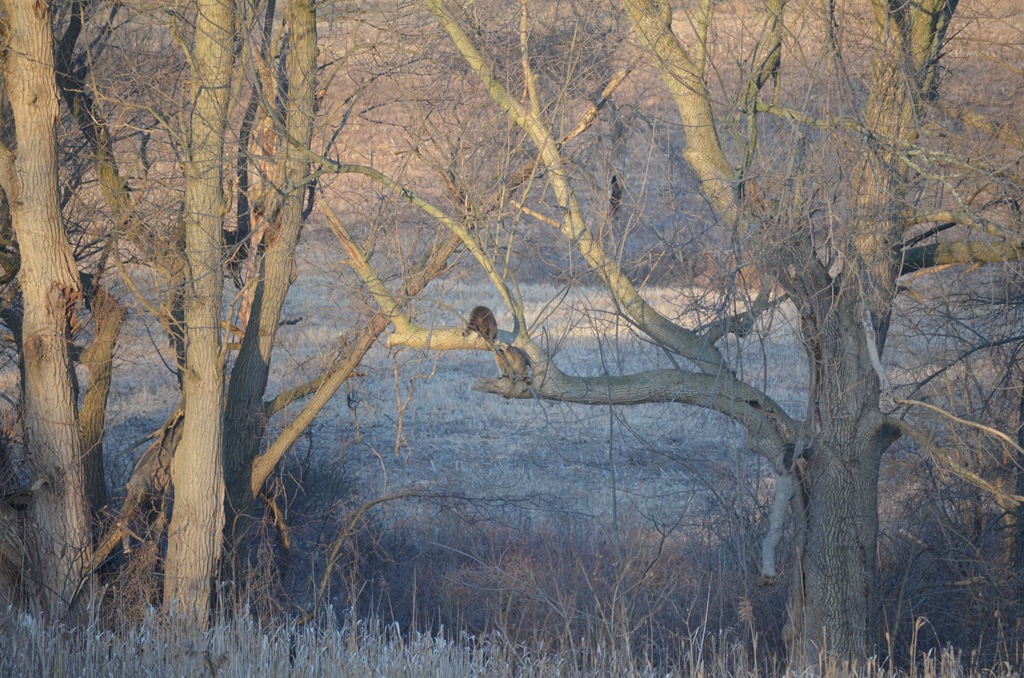 [DSC_0034%255B4%255D.jpg]