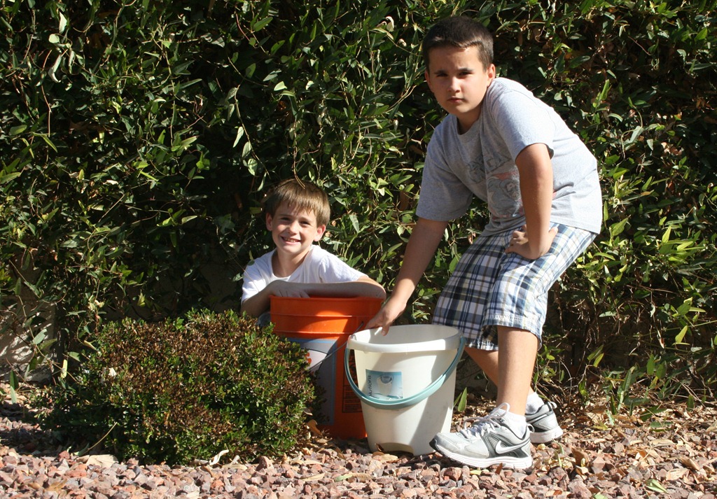 [pokemon%2520005%255B3%255D.jpg]