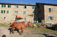 IMG_1143.JPG Photo