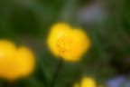 DSC03257.JPG