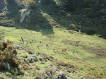 Polo val de Espìnes