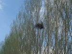 IMG_2320.JPG