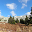 DSCN2933.jpg