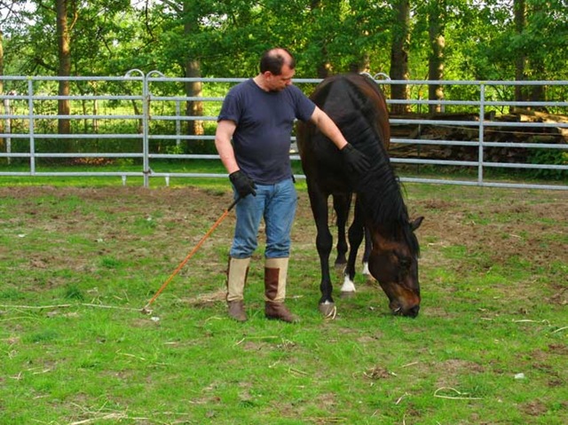 [CIMG7888%255B7%255D.jpg]