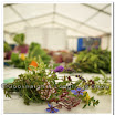 Horticulture 018.jpg