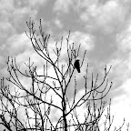 IMG_8773.JPG