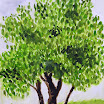 P1010024.jpg
