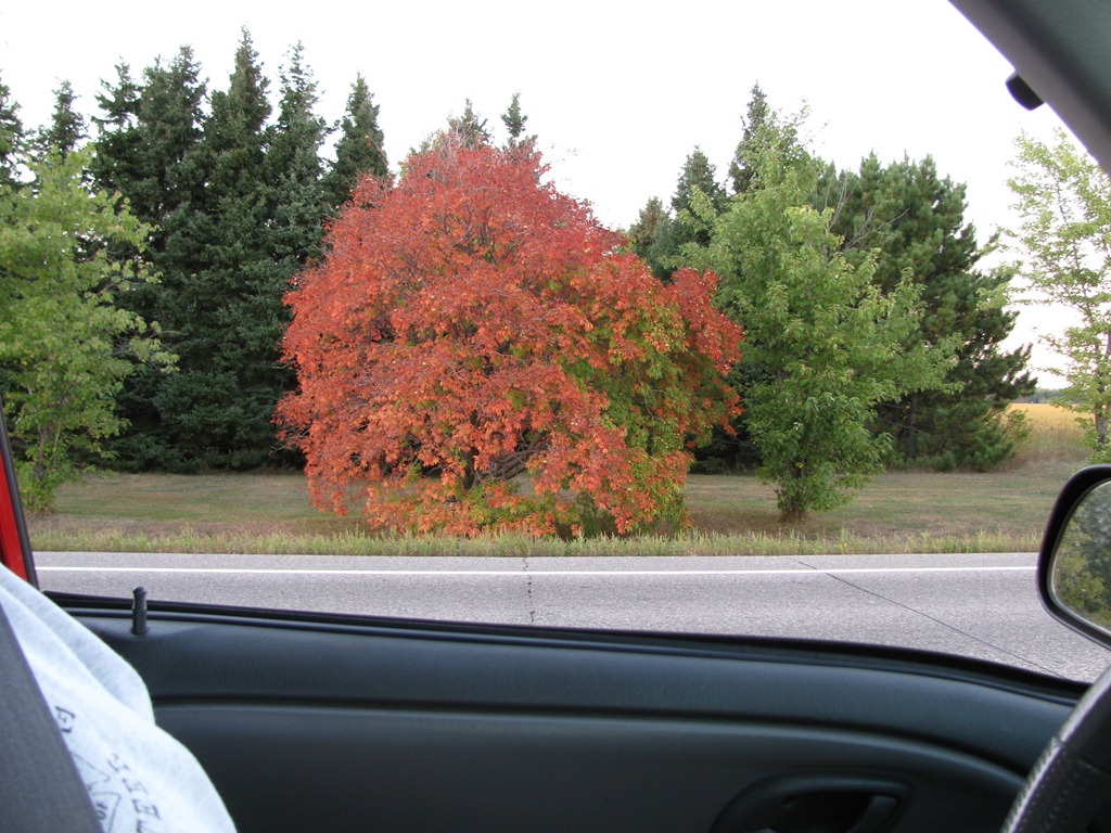 [IMG_6053%255B5%255D.jpg]